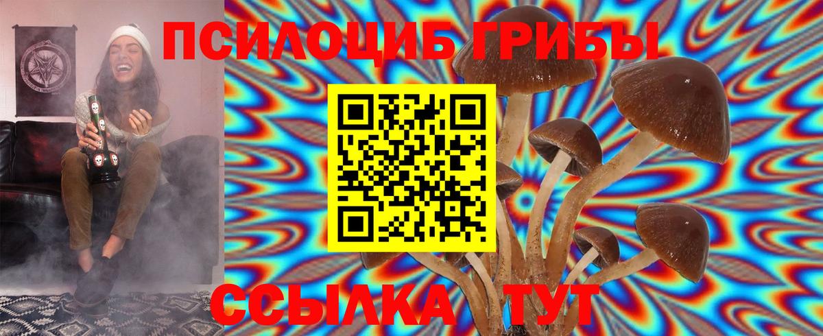 Галлюциногенные грибы Psilocybe Берёзовский