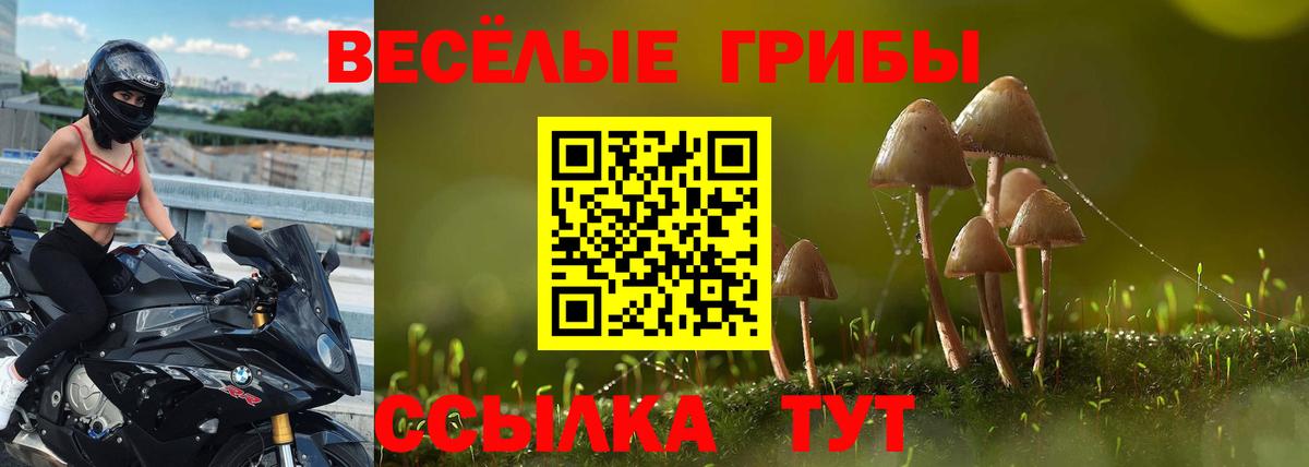 Галлюциногенные грибы прущие грибы  Вход с VPN  Берёзовский 