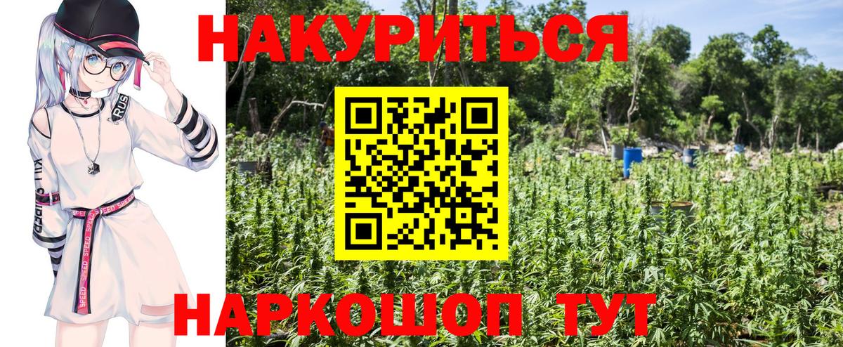 Бошки марихуана OG Kush Берёзовский